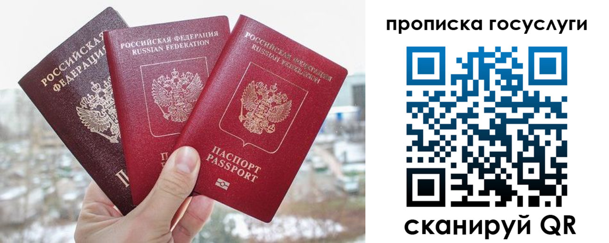 прописка законно в Красноярском крае